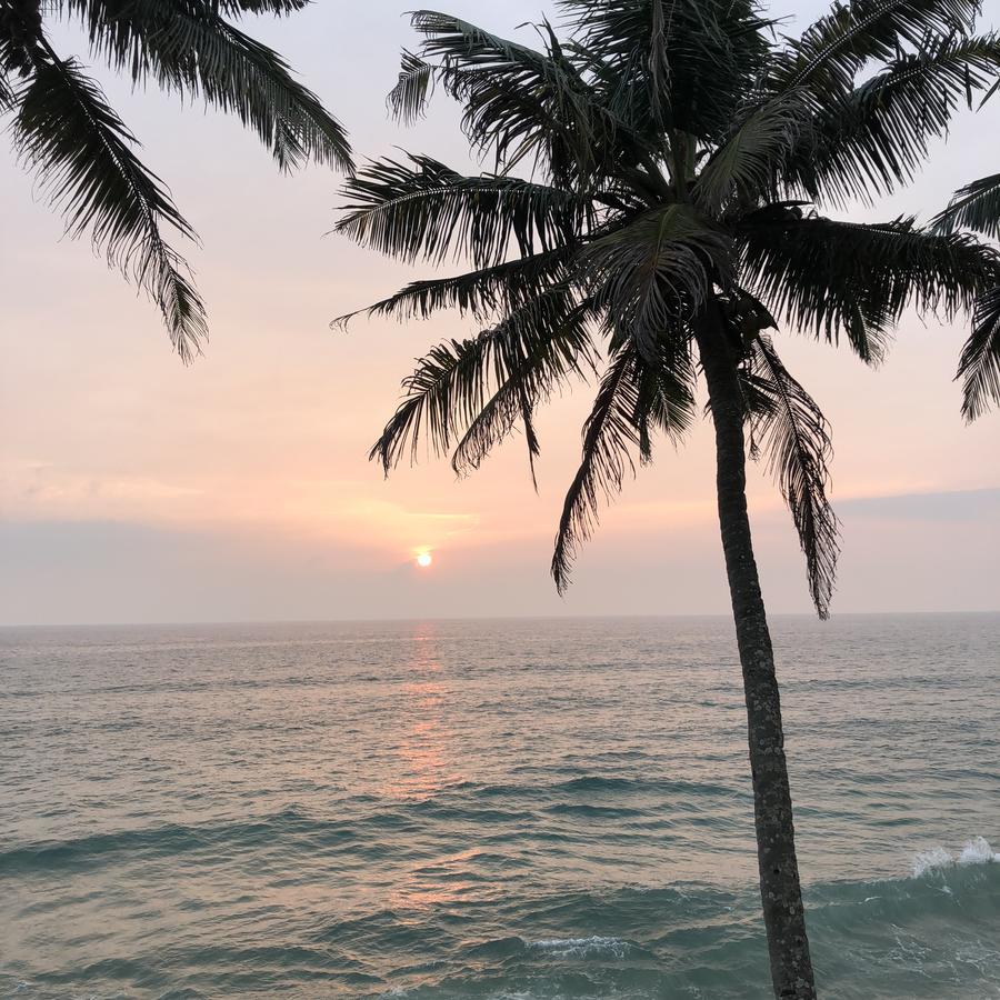 The Villa Varkala Dış mekan fotoğraf